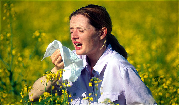 Is Hayfever Affecting My Skin?