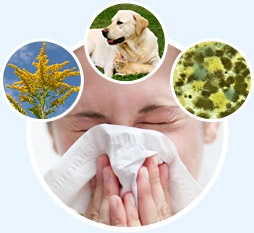 How to Cope When Allergies Flare Up Your Sensitive Skin